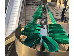  想知道自動檢重秤是怎樣工作的嗎?
