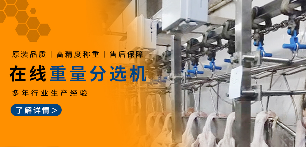 在線重量分選機(jī)